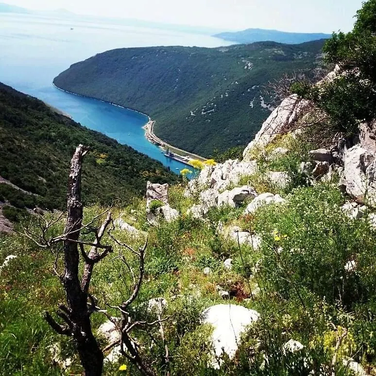 Apartmán Plomin Sky&Bay Chorvatsko